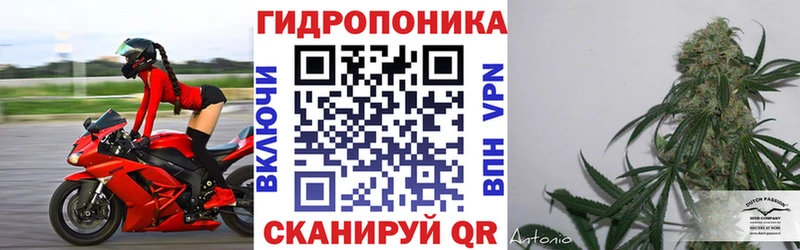 Цена Тольятти ГАШ Псилоцибиновые грибы Мефедрон СК Бошки Шишки COCAIN АМФЕТАМИН